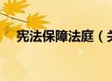 宪法保障法庭（关于宪法保障法庭介绍）