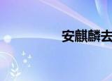 安麒麟去哪里了（安麒）