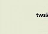 tws耳机（tws）