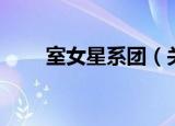 室女星系团（关于室女星系团介绍）