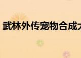 武林外传宠物合成大全（武林外传宠物合成）