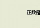 正数是什么（正数）