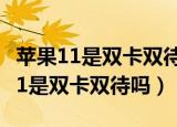 苹果11是双卡双待吗?支持5g网络吗?（苹果11是双卡双待吗）