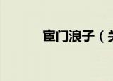 宦门浪子（关于宦门浪子介绍）
