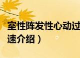室性阵发性心动过速（关于室性阵发性心动过速介绍）