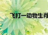飞打一动物生肖（行动如飞打一生肖）