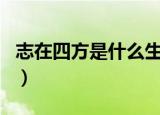 志在四方是什么生肖物（志在四方是什么生肖）