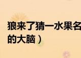狼来了猜一水果名字（狼来了猜一水果名最强的大脑）