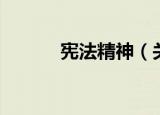宪法精神（关于宪法精神介绍）