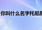 你叫什么名字托尼原版（你叫什么名字 歌词）