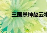 三国杀神赵云视频（三国杀 神赵云）