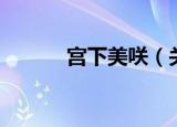 宫下美咲（关于宫下美咲介绍）