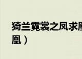 猗兰霓裳之凤求凰 (上部)（猗兰霓裳之凤求凰）
