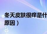 冬天皮肤很痒是什么原因（冬天皮肤痒是什么原因）