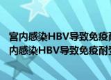 宫内感染HBV导致免疫耐受的机理及其对策的研究（关于宫内感染HBV导致免疫耐受的机理及其对策的研究介绍）