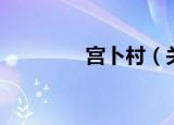 宫卜村（关于宫卜村介绍）