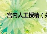 宫内人工授精（关于宫内人工授精介绍）