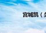 宫城凯（关于宫城凯介绍）