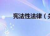 宪法性法律（关于宪法性法律介绍）