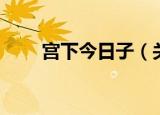 宫下今日子（关于宫下今日子介绍）