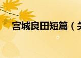 宫城良田短篇（关于宫城良田短篇介绍）