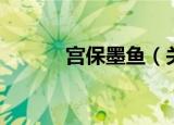 宫保墨鱼（关于宫保墨鱼介绍）