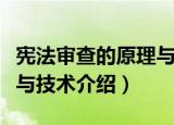 宪法审查的原理与技术（关于宪法审查的原理与技术介绍）