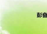 彭奋勇（彭奋）