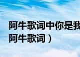 阿牛歌词中你是我最简单的快乐…是什么歌（阿牛歌词）