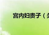 宫内妇贵子（关于宫内妇贵子介绍）