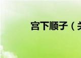 宫下顺子（关于宫下顺子介绍）