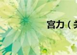 宫力（关于宫力介绍）