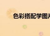 色彩搭配学图片大全（色彩搭配学）