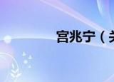 宫兆宁（关于宫兆宁介绍）