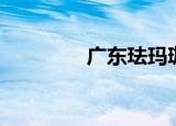 广东珐玛珈（广州珐玛珈）