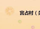 宫占村（关于宫占村介绍）
