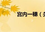 宫内一穗（关于宫内一穗介绍）