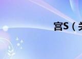 宫S（关于宫S介绍）