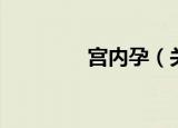 宫内孕（关于宫内孕介绍）