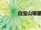 白宝山哪里人（白宝山照片）