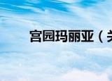 宫园玛丽亚（关于宫园玛丽亚介绍）