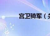 宫卫骑军（关于宫卫骑军介绍）