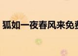 狐如一夜春风来免费阅读（狐如一夜春风来）