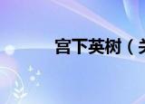 宫下英树（关于宫下英树介绍）