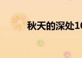 秋天的深处100字（秋天的深处）