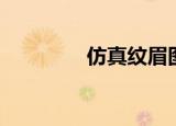 仿真纹眉图片（仿真纹眉）