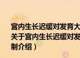 宫内生长迟缓对发育大鼠肝CYP3A表达的影响及发生机制（关于宫内生长迟缓对发育大鼠肝CYP3A表达的影响及发生机制介绍）