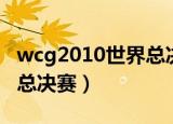 wcg2010世界总决赛完整版（wcg2010世界总决赛）