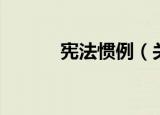 宪法惯例（关于宪法惯例介绍）