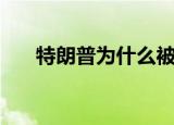 特朗普为什么被抓了（特朗普被调查）